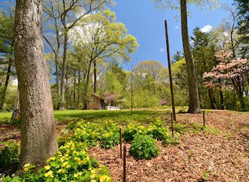 massachusetts/central-massachusetts/attraction/garden-in-the-woods