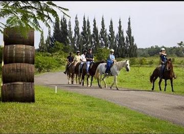 puerto-rico/fajardo/attraction/campo-rico-trail-rides-atv-horseback-riding