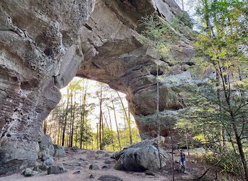 tennessee/fall-creek-falls-state-park/attraction/twin-arches