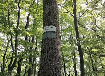 poland/elblag/attraction/swiatynia-dumania