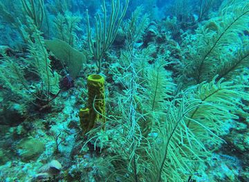 belize/san-pedro/attraction/mata-chica-canyons