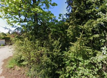 poland/olsztyn/attraction/kasztanowiec-dajtki