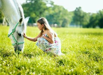 slovenia/nova-gorica/attraction/lipica