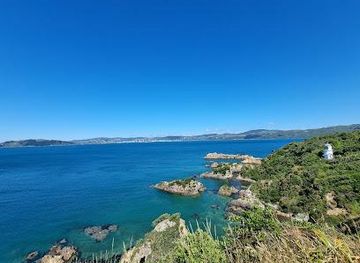 new-zealand/wellington/attraction/matiu-somes-island