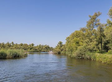 netherlands/south-holland/attraction/nationaal-park-de-biesbosch