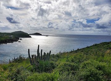 british-virgin-islands/sage-mountain-national-park/attraction/beehive-cove-lookout-point