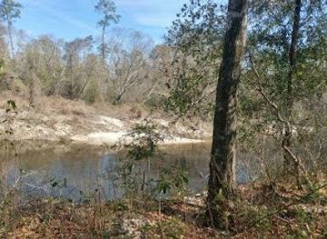 mississippi/desoto-national-forest/attraction/big-creek-landing-recreation-area