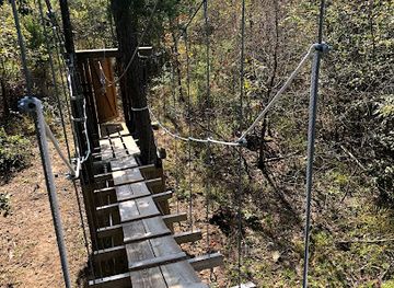arkansas/ouachita-national-forest/attraction/the-blue-zip-line-and-farm