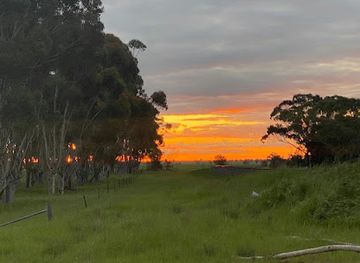 australia/mallee/attraction/kaniva-silo-art