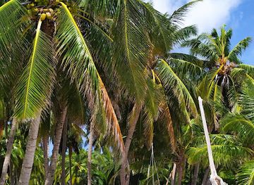 maldives/gaafu-dhaalu-atoll/attraction/dhige-magukodaa