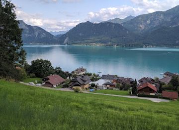 austria/salzkammergut/attraction/edelkastanienwald