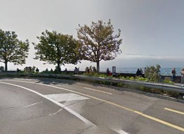 switzerland/vevey/attraction/jumelles