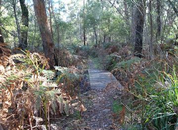 australia/western-district/attraction/brownings-loop-walk