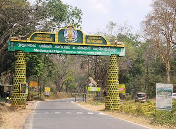 india/south-india/attraction/mudumalai-tiger-reserve