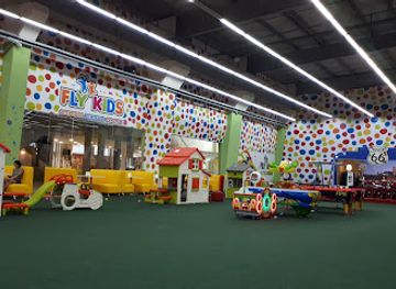 ukraine/kremenchuk/attraction/fly-kids