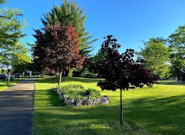 michigan/northern-michigan/attraction/f-and-m-park