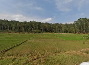 rwanda/butare/attraction/rwamamba-wetland