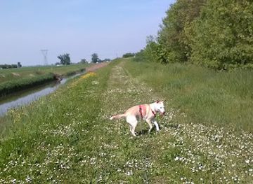 italy/emilia-romagna-riviera/attraction/ecomuseo-dell-acqua