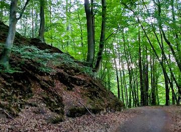 poland/pomerania/attraction/jedlinowa-polana-tannengrund