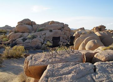 california/joshua-tree-national-park/attraction/big-morongo-canyon-preserve