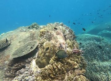 sri-lanka/trincomalee/attraction/angel-rock