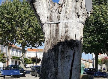 portugal/tras-os-montes/attraction/espaco-miguel-torga