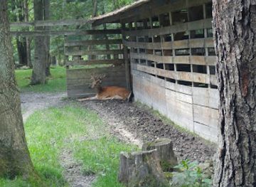 pennsylvania/allegheny-national-forest/attraction/double-diamond-deer-ranch