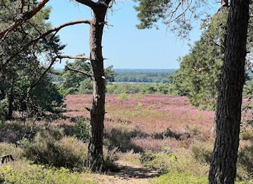 netherlands/sallandse-heuvelrug-national-park/attraction/recreatieterrein-holten