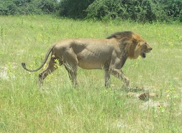 botswana/kasane/attraction/stretch-point