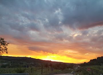 italy/chianti-classico/attraction/azienda-agricola-il-mandorlo