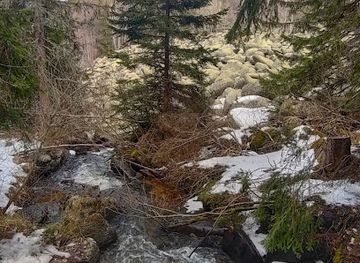 bulgaria/vitosha-mountain/attraction/wood-bridge
