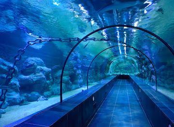 turkiye/marmara-region/attraction/viasea-aquarium
