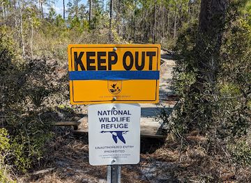 alabama/alabama-coastal-birding-trail/attraction/gator-lake-trail