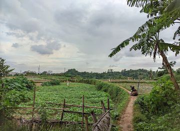 bangladesh/chittagong/attraction/rupshi-pahar