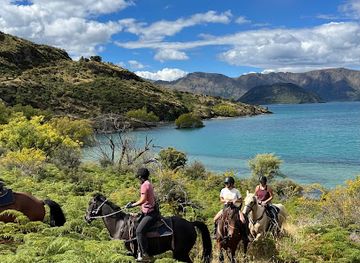new-zealand/wanaka/attraction/wanaka-horse-trekking