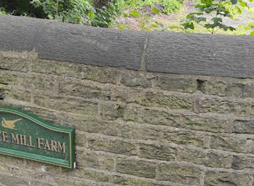 united-kingdom/north-west-england/attraction/rylance-mill-farm