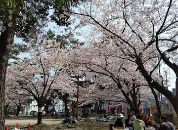 japan/kai/attraction/unomori-park