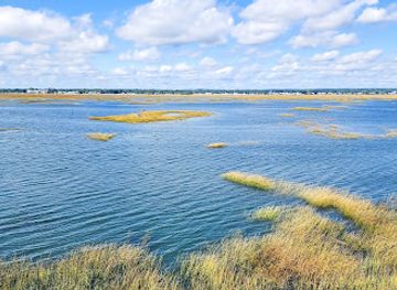 connecticut/the-quiet-corner/attraction/connecticut-audubon-society-coastal-center-at-milford-point