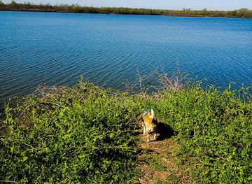 louisiana/pearl-river-wildlife-management-area/attraction/red-river-national-wildlife-refuge