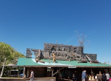 canada/interlake-region/attraction/arnes-farmer-s-market