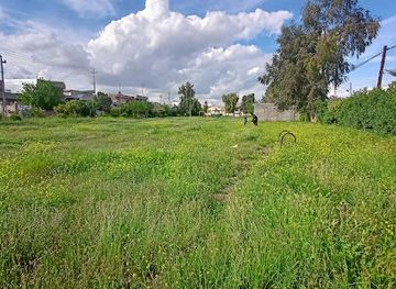 iraq/kirkuk/attraction/bakchey-piremerd