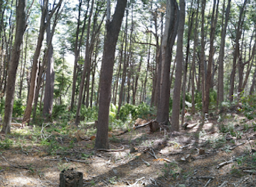 argentina/villa-la-angostura/attraction/manganga-vla