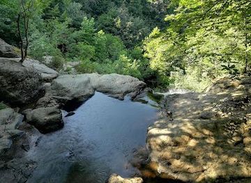 turkiye/bursa/attraction/yalova-kent-ormani