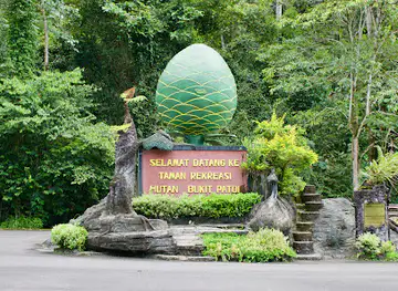 Bukit Patoi Recreational Park