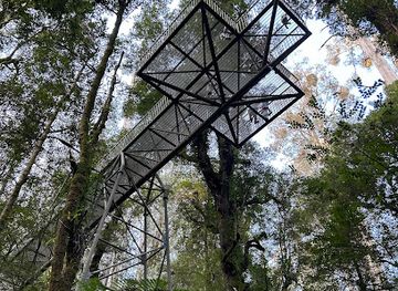 australia/northern-victoria/attraction/rainforest-gallery