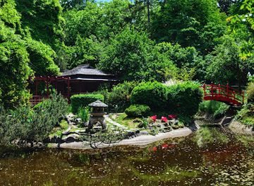 romania/cluj-napoca/attraction/alexandru-borza-botanical-garden