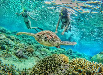 indonesia/gili-islands/attraction/snorkeling-to-gili-s-marine-park