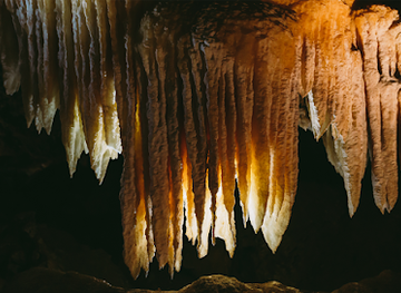 california/gold-country/attraction/black-chasm-cavern-national-natural-landmark