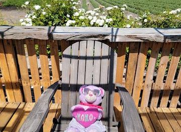 california/sacramento/attraction/hemly-cider
