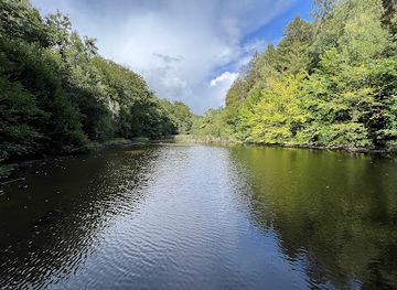 belgium/dyle-valley/attraction/meerdaalwoud